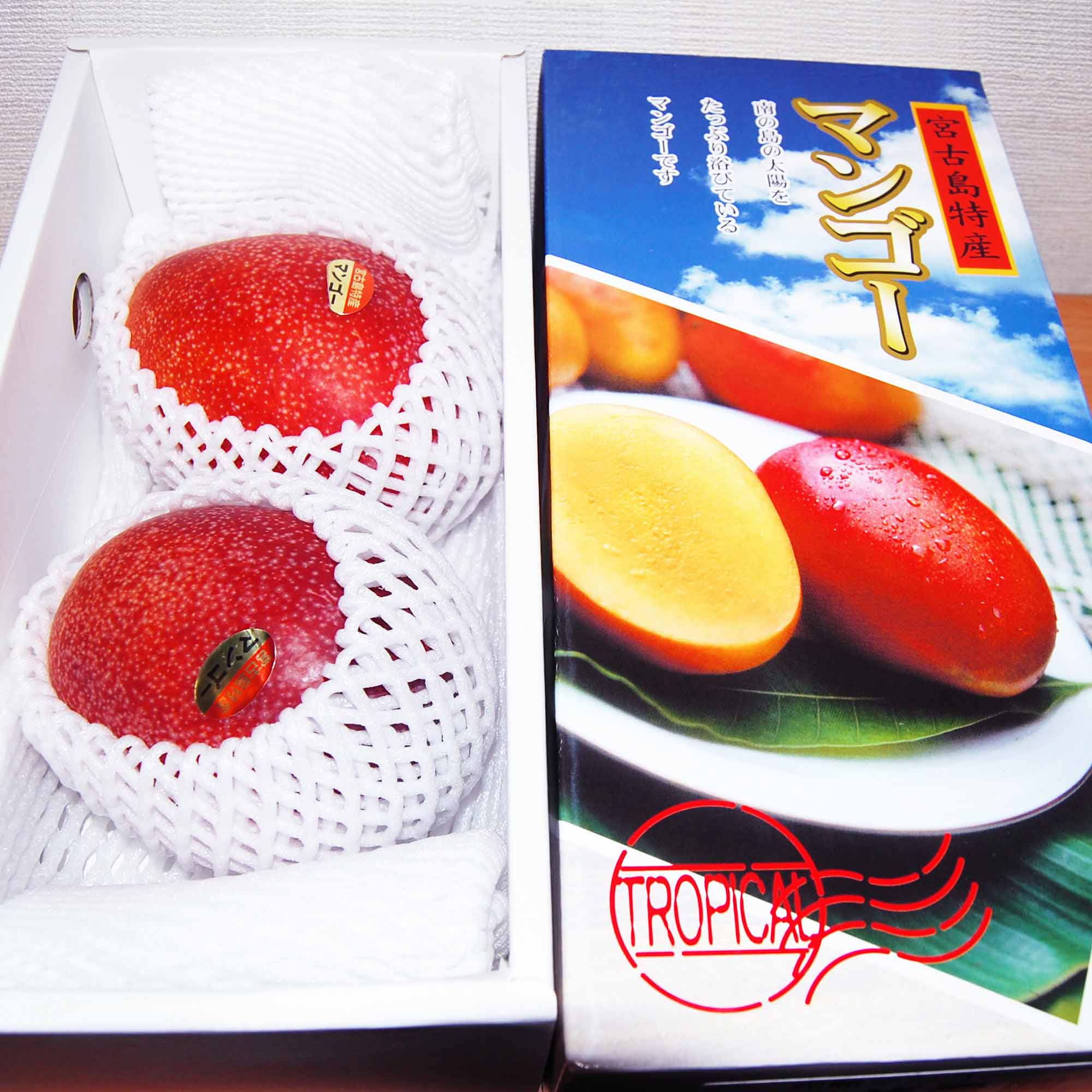 沖縄県 宮古島 完熟アップルマンゴー